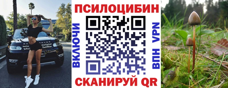 Купить где  Светлоград  Галлюциногенные грибы мухоморы 